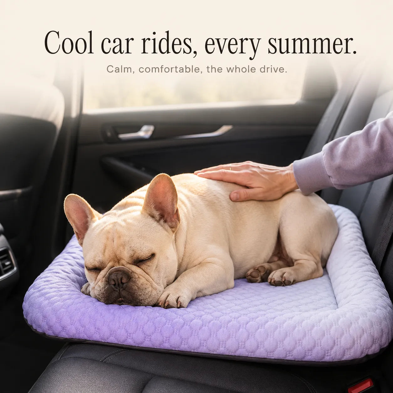 Frostpaw – Cooling Pet Mat for Dogs and Cats