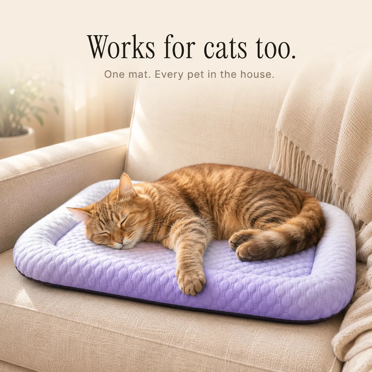 Frostpaw – Cooling Pet Mat for Dogs and Cats