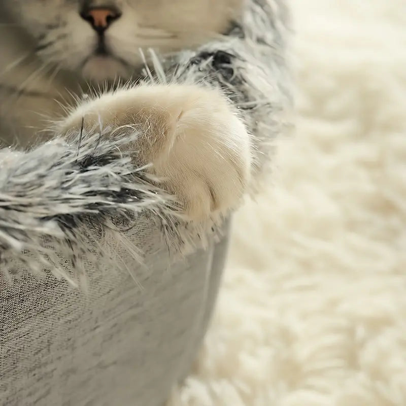 Cavina - Cave Bed for Small Pets