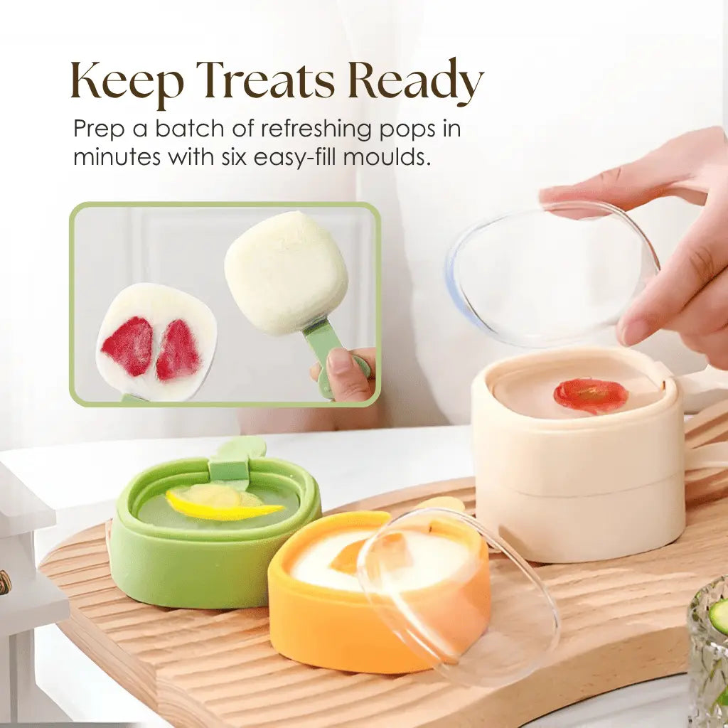 Frozenly - Homemade Popsicle Maker Mold Set
