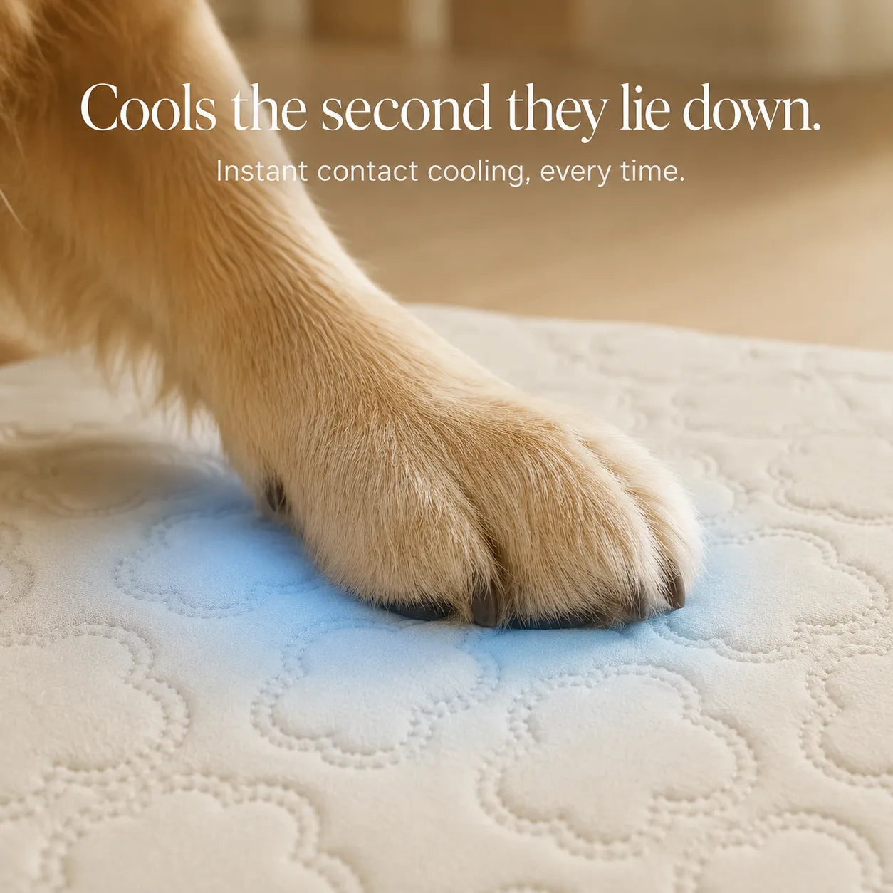 Coolava – Instant Cooling Pet Mat for Dogs and Cats, Scratch-Resistant