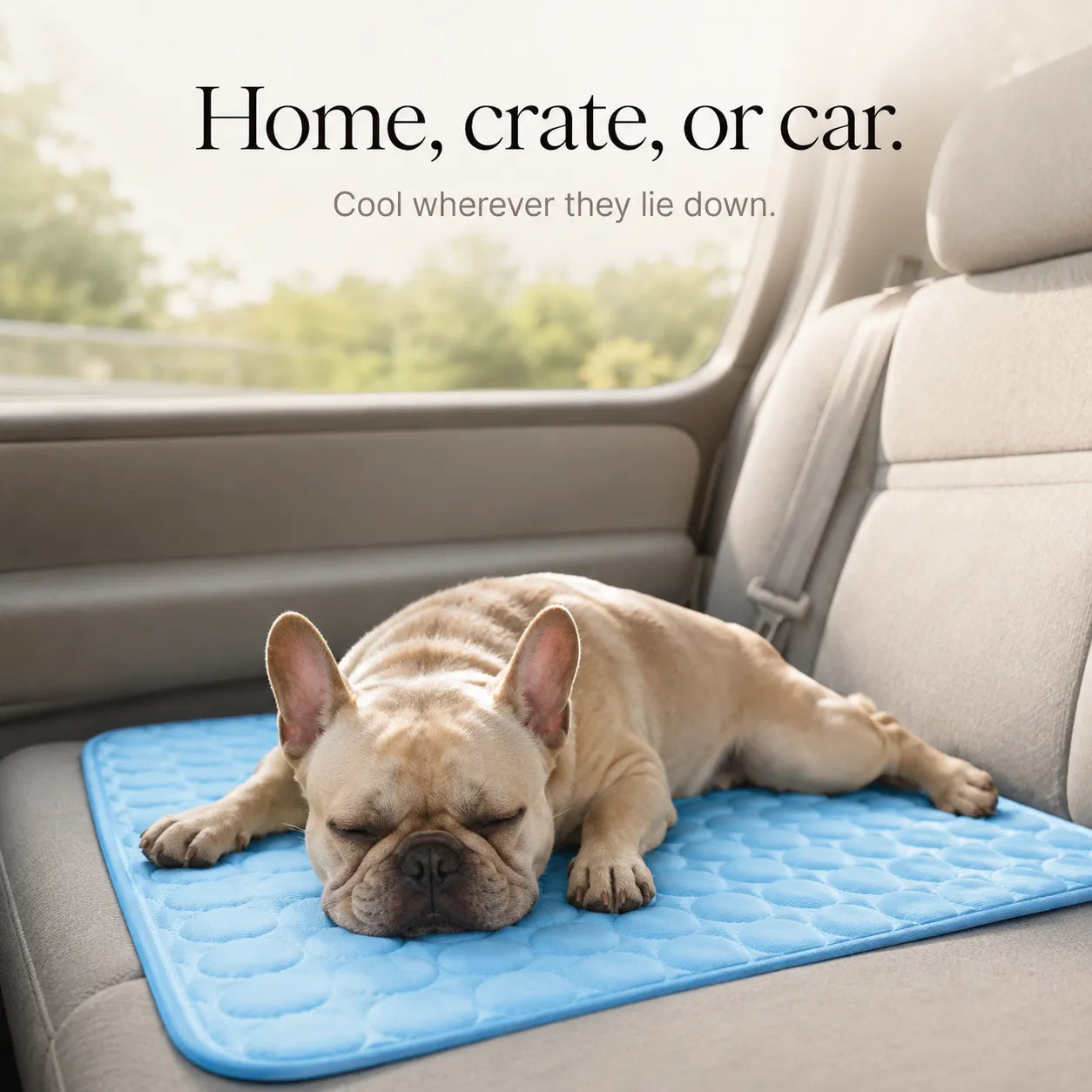 Coolabee – Cooling Mat for Dogs & Cats, No-Freeze Washable Pet Pad