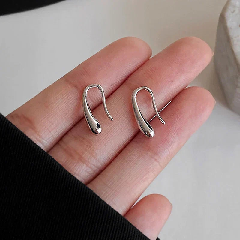 Water Drop Earrings