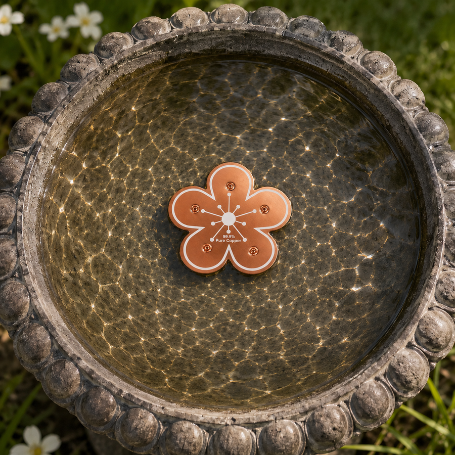 Bloomara – Pure Copper Bird Bath Purifier Disc, Algae Control Flower