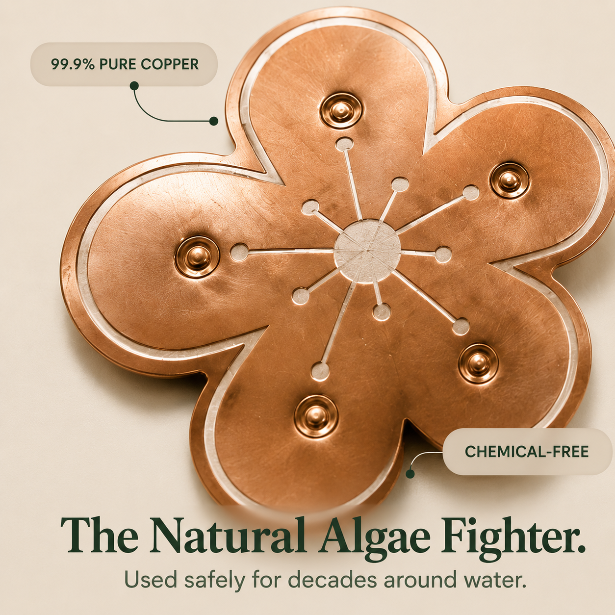 Bloomara – Pure Copper Bird Bath Purifier Disc, Algae Control Flower