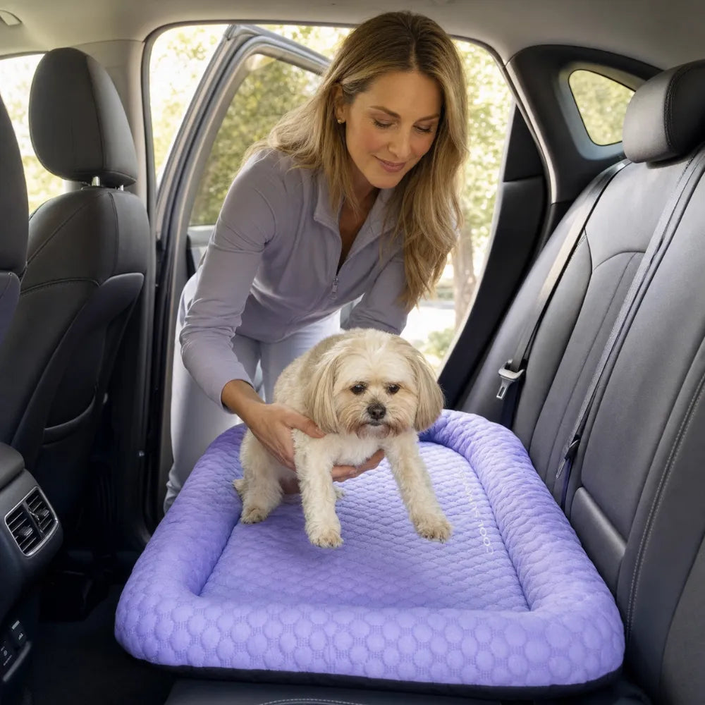 Frostpaw – Cooling Pet Mat for Dogs and Cats