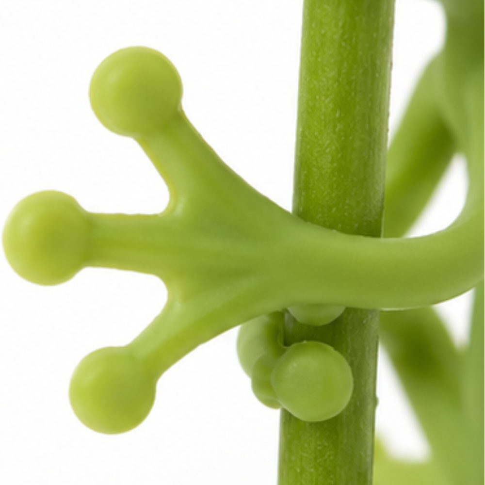 Hoppity – Bendable Frog Plant Clips, Set of 5 Cute Garden Decor