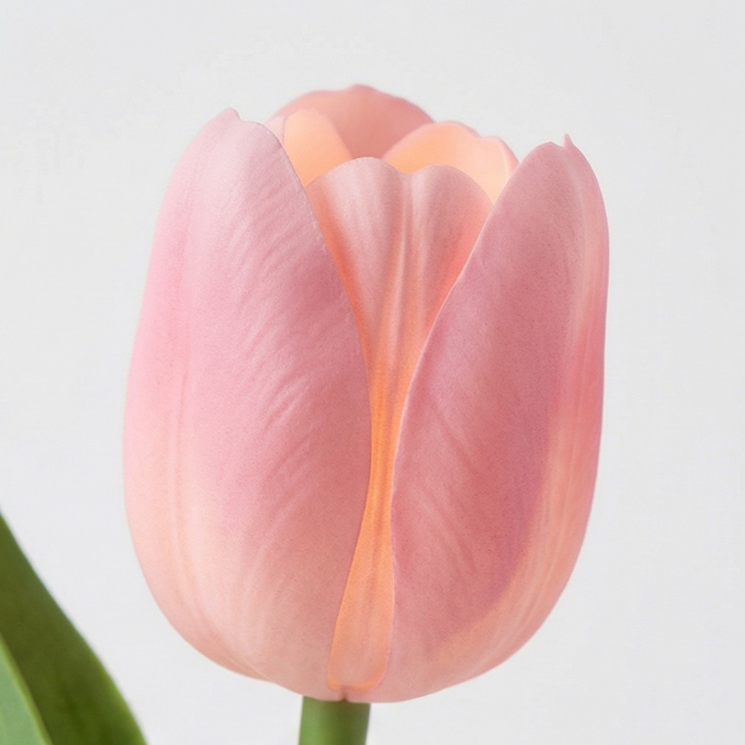 Bloomora – LED Tulip Lamp with Ceramic Vase