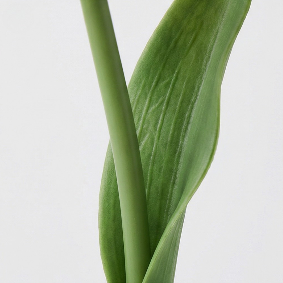 Bloomora – LED Tulip Lamp with Ceramic Vase