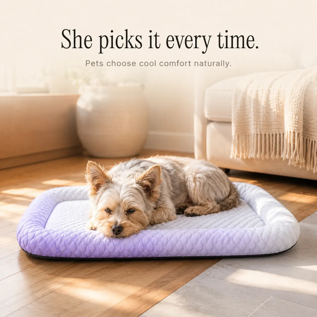Frostpaw – Cooling Pet Mat for Dogs and Cats