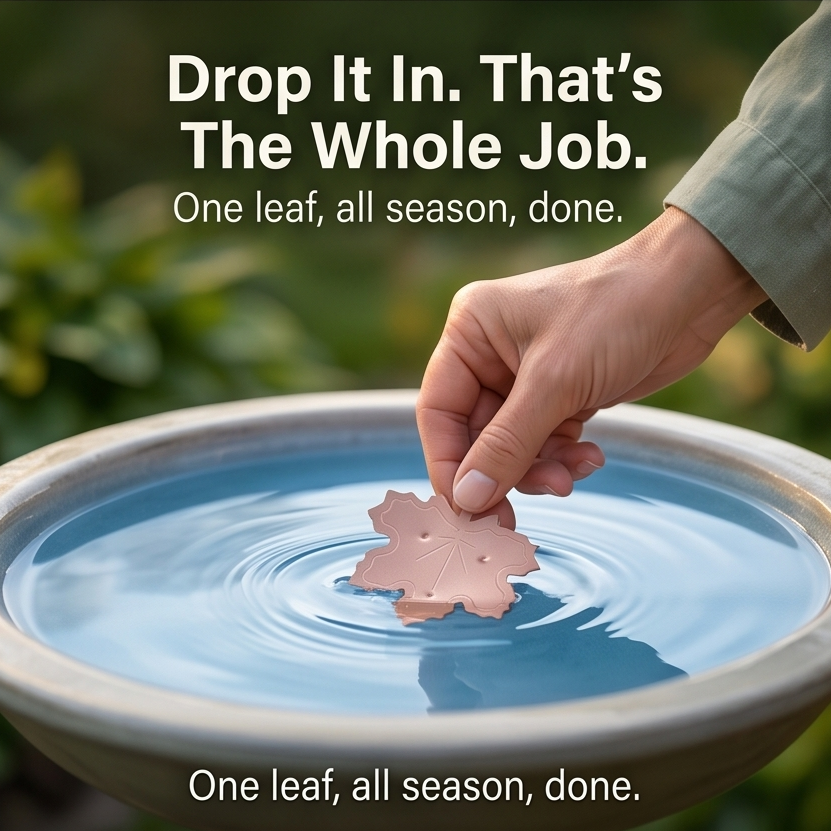 Coppera – Copper Leaf Bird Bath Purifier