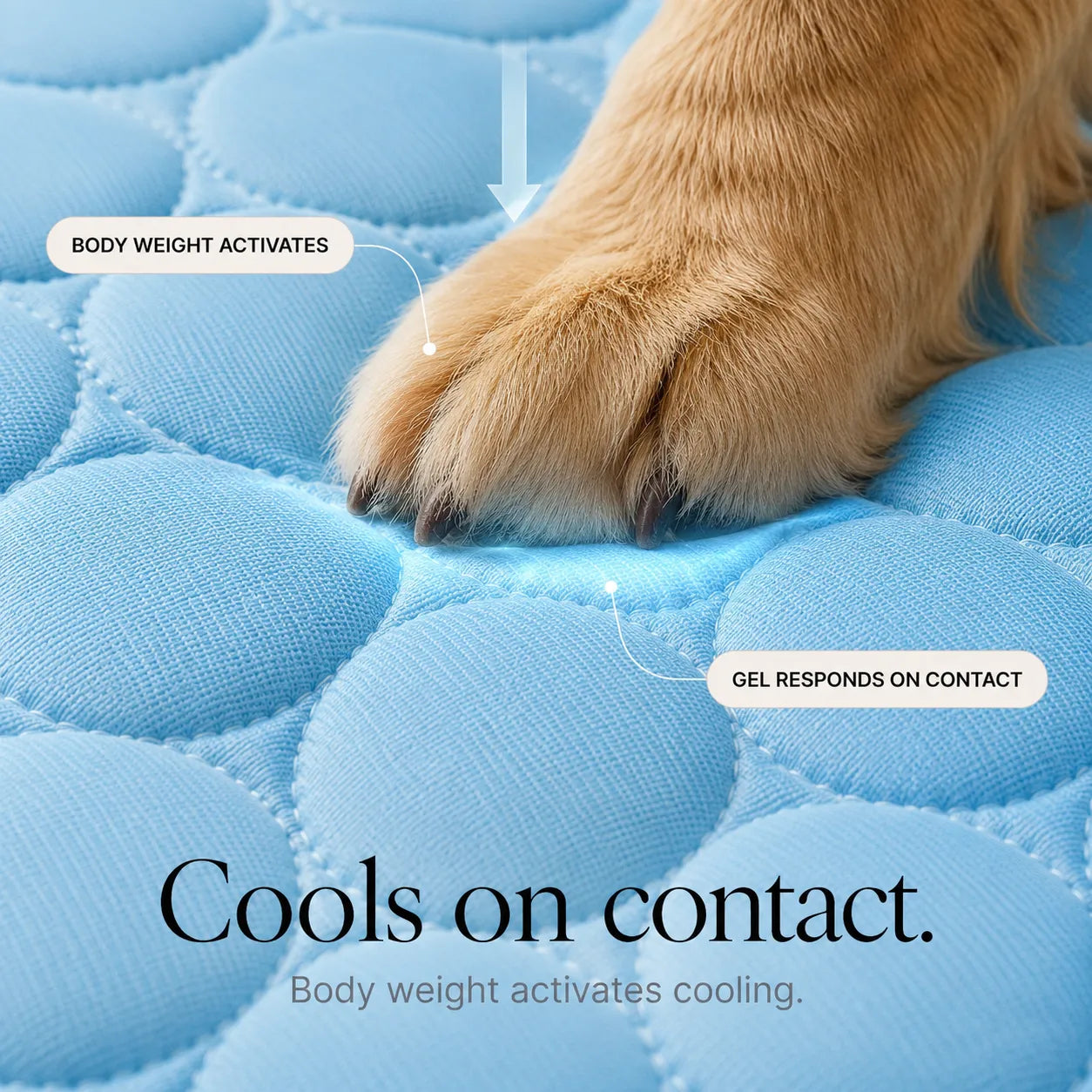 Coolabee – Cooling Mat for Dogs & Cats, No-Freeze Washable Pet Pad