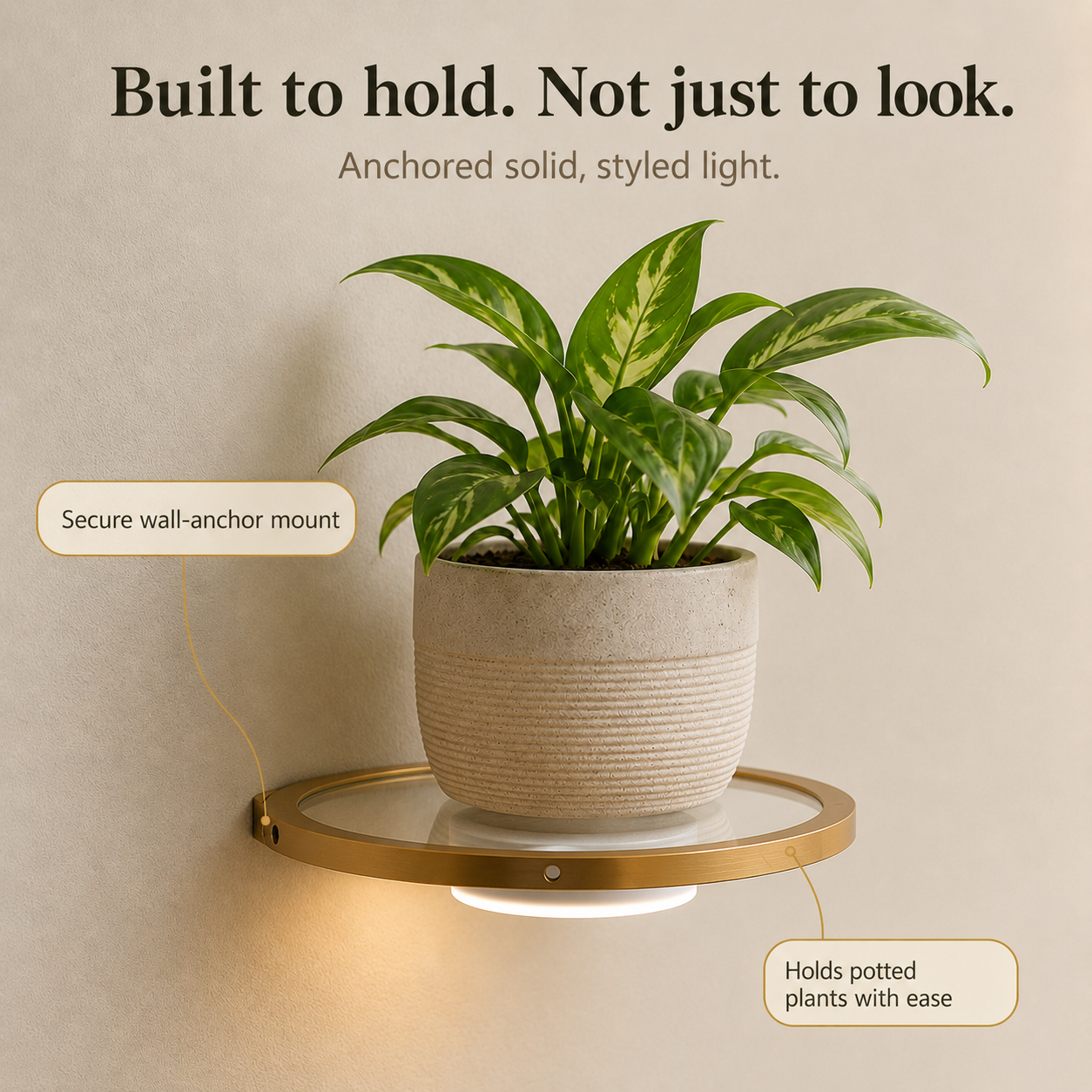 Lumeva - Floating LED Wall Shelf with Gold Finish, Rechargeable Ambient Light for Plants