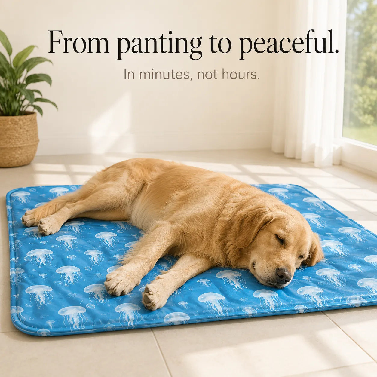 Coolpaw – Waterproof Summer Cooling Mat for Dogs and Cats