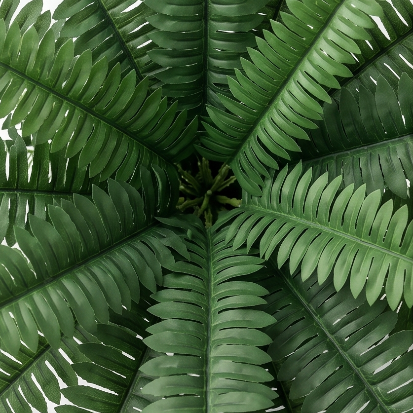 Fernly – Realistic Artificial Boston Fern