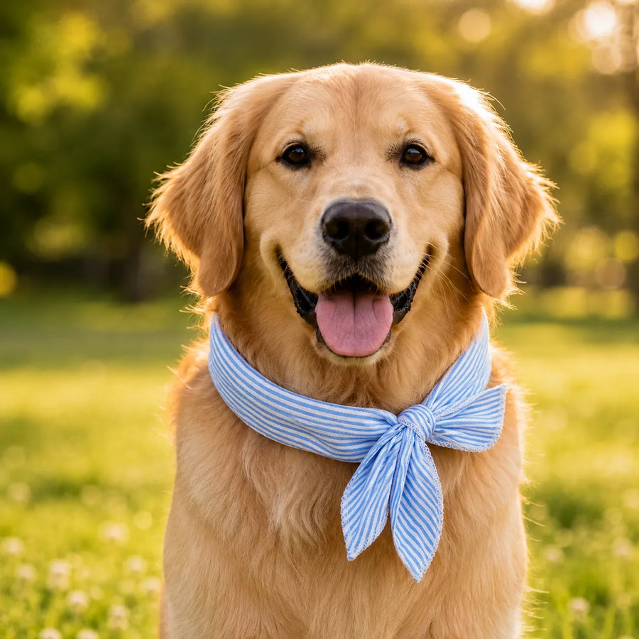 Coolpup – Reusable Cooling Bandana for Dogs, No-Freezer Summer Neck Wrap (2Pcs)