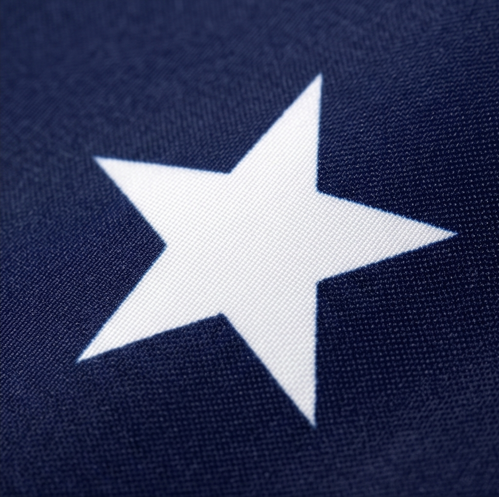 Libertara - 250th Anniversary America Fan Flag