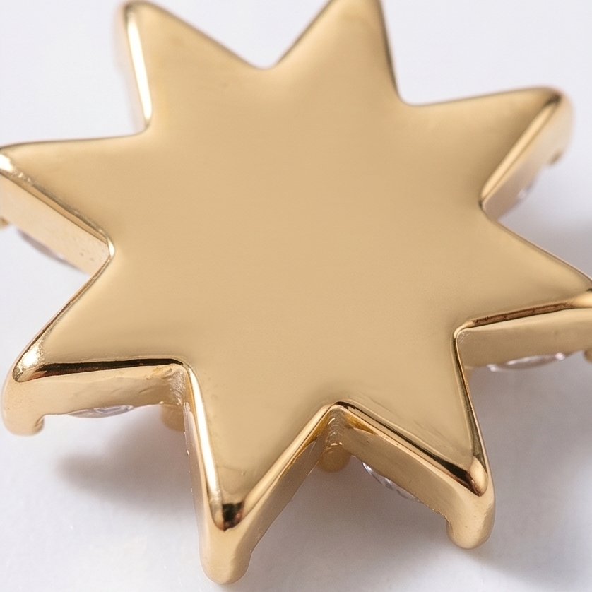 Luminelle – Gold Star Zircon Earrings