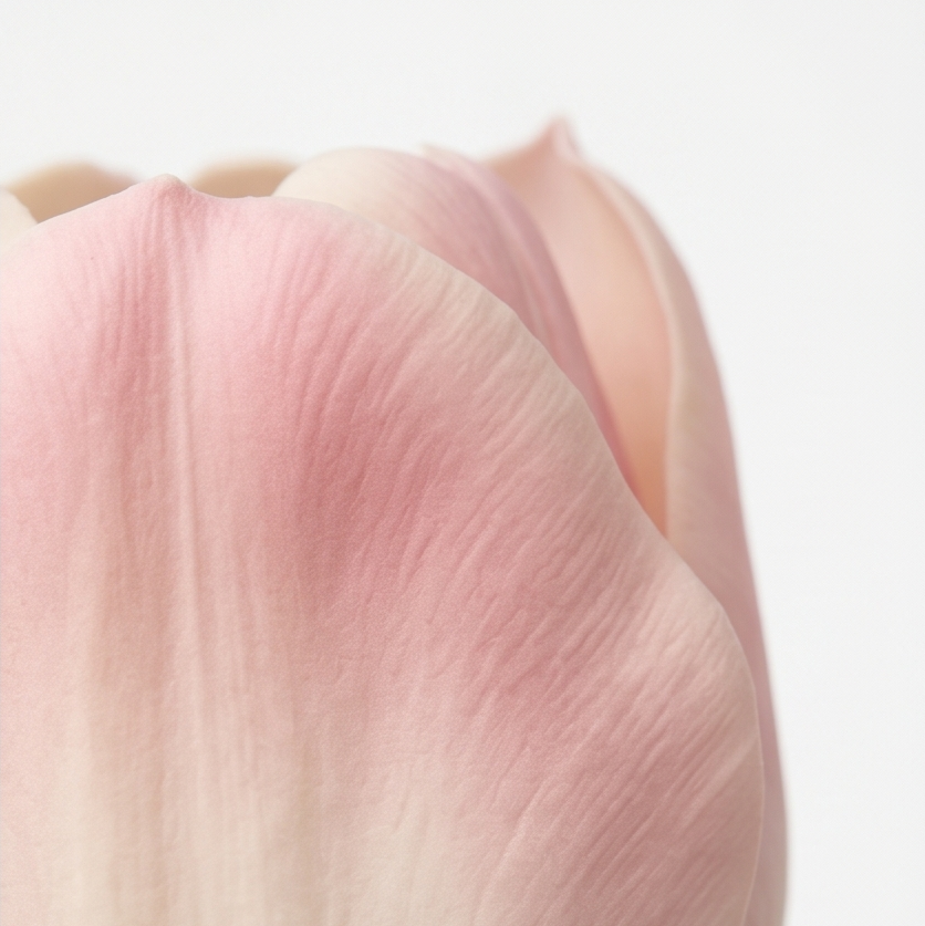 Lumora – Real Touch Tulip Bouquet
