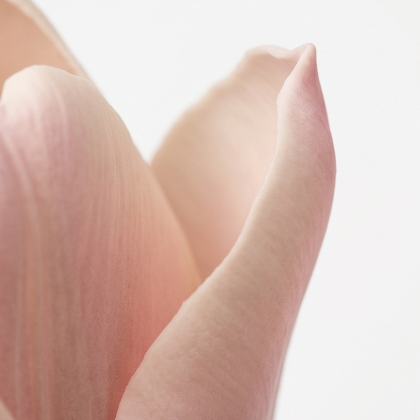 Lumora – Real Touch Tulip Bouquet