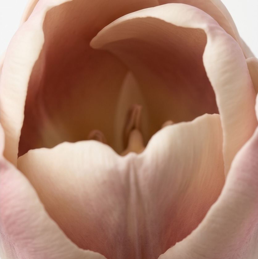 Lumora – Real Touch Tulip Bouquet